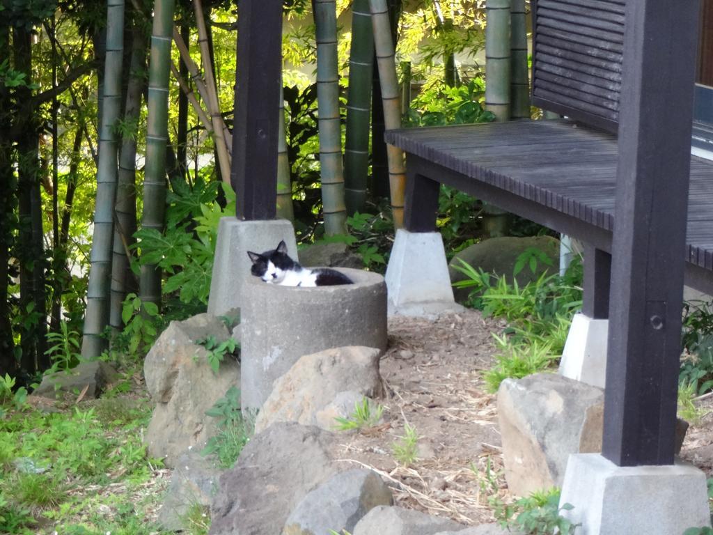 Ryokan Izuna Atami  Exterior foto